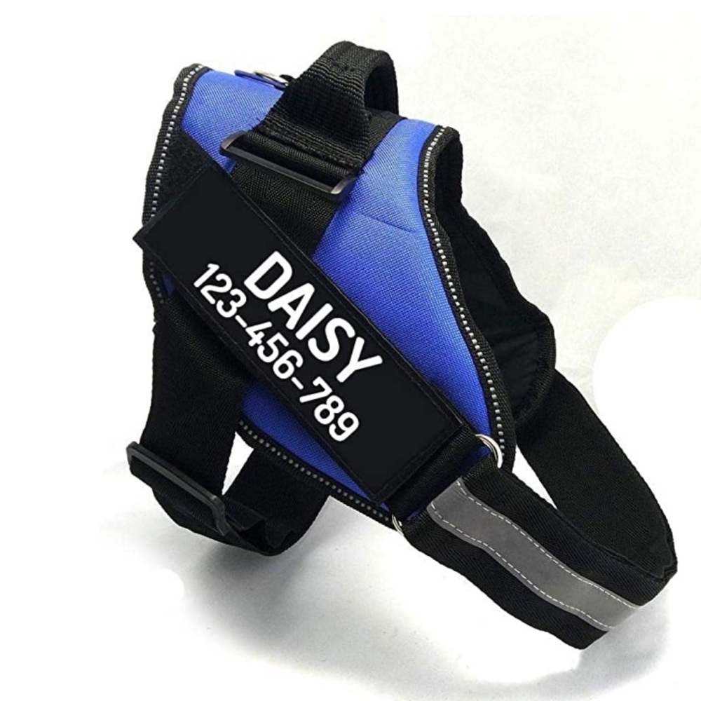 🦋 Dog harness by PawPawify. In blue WITHOUT name tag. Size is small.
